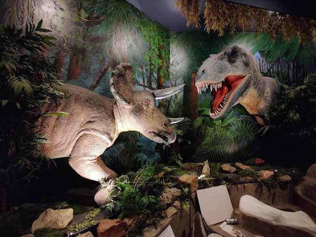 The Journey Museum - Image 1