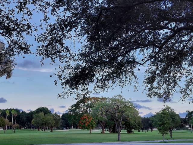 Miami Springs - Image 1