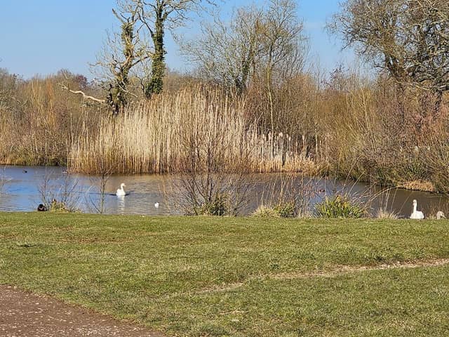 Edenbrook Country Park - Image 2