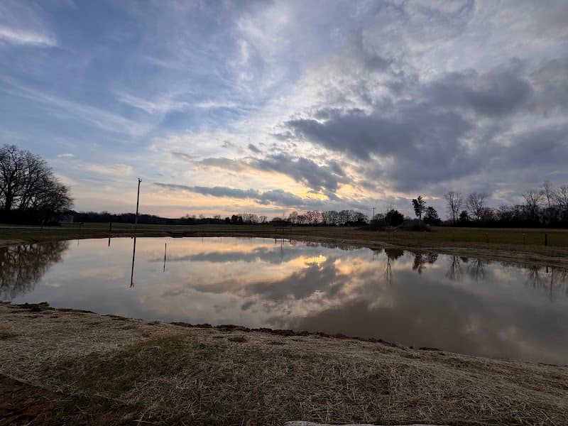 Reed Lake - Image 1