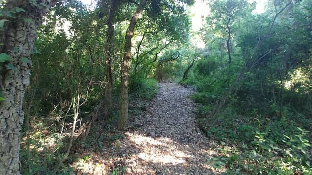 Sughereta nature reserve - Image 1