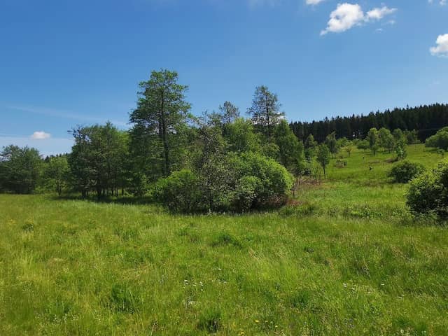 Wanderparkplatz Arnika Aue Teuschnitz - Image 1