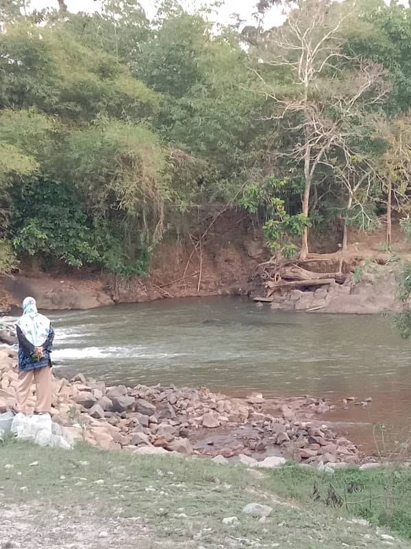 sungai viral padang chichak - Image 2