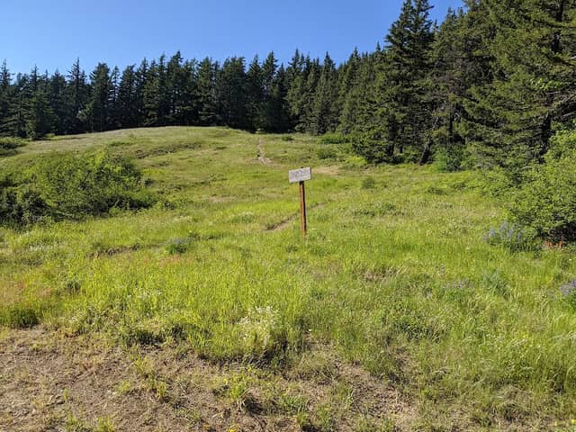 Grassy Knoll Trailhead - Image 1