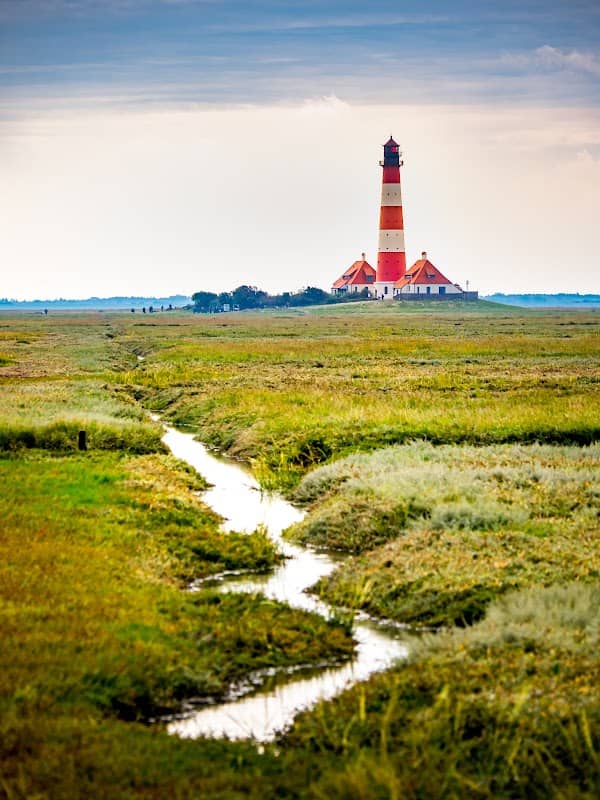 Westerhever Salzwiesen - Image 1
