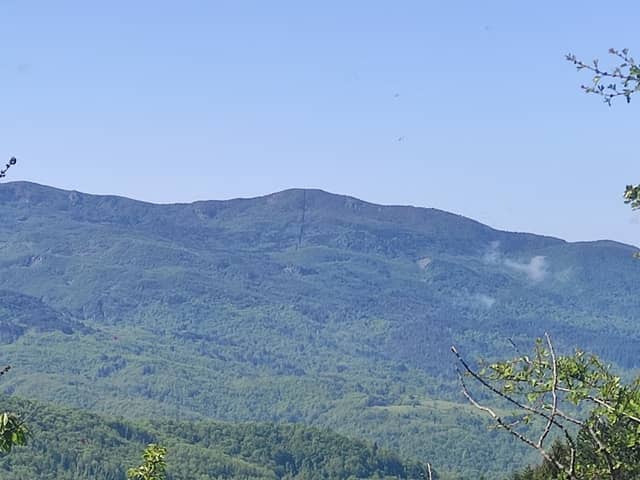 Monte degli Abeti - Image 1