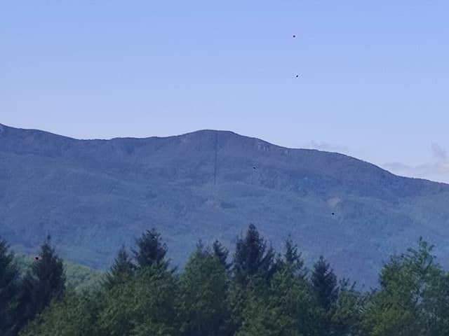 Monte degli Abeti - Image 2
