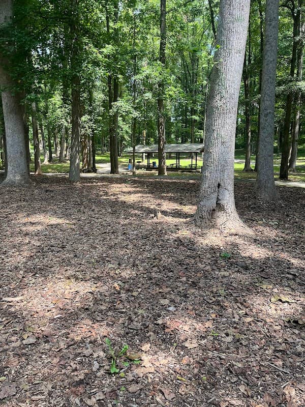 Rafe Banks Wellness Park - Image 1