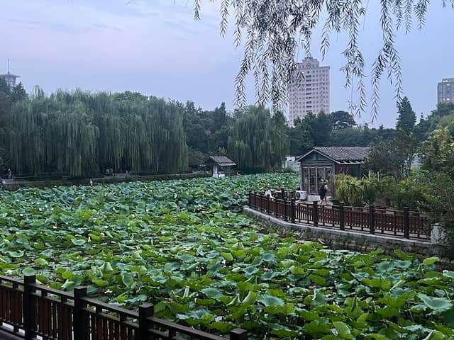 Zhengzhou Zijingshan Park (North Gate) - Image 2