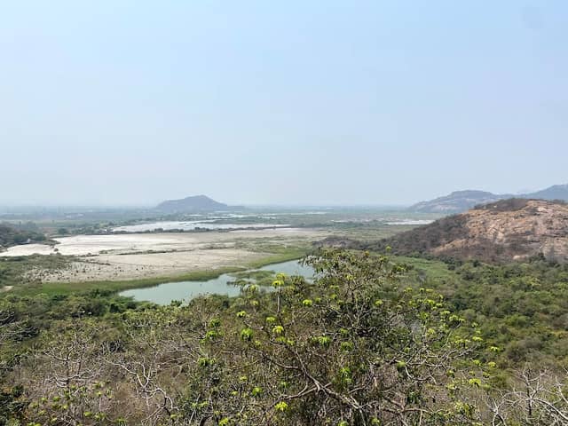 VTPS ASH POND - Image 1