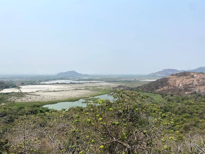 VTPS ASH POND - Image 1