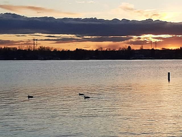 Chestermere Spot - Image 1