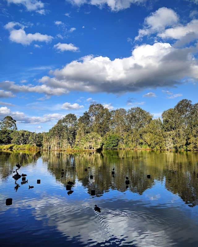Toowoomba Waterbird Habitat - Image 1