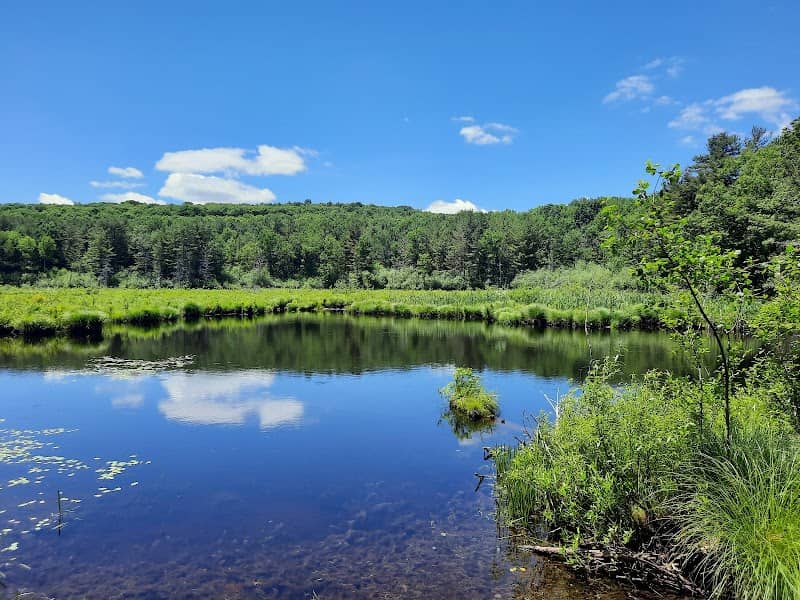 Audubon Bird Sanctuary - Image 2