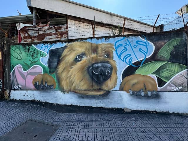 Street Art - Image 1