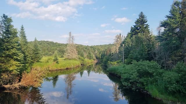 Ferris Lake Wild Forest - Image 2