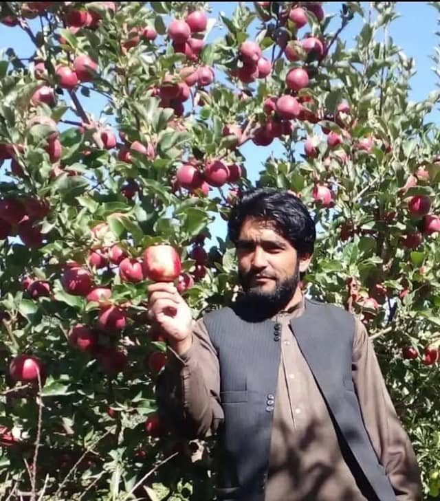 باغ حاجی دین محمد اکبری - Image 1