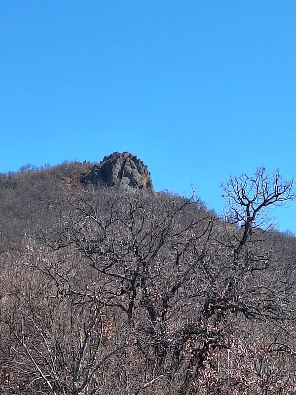 Вкаменената сватба - Image 1