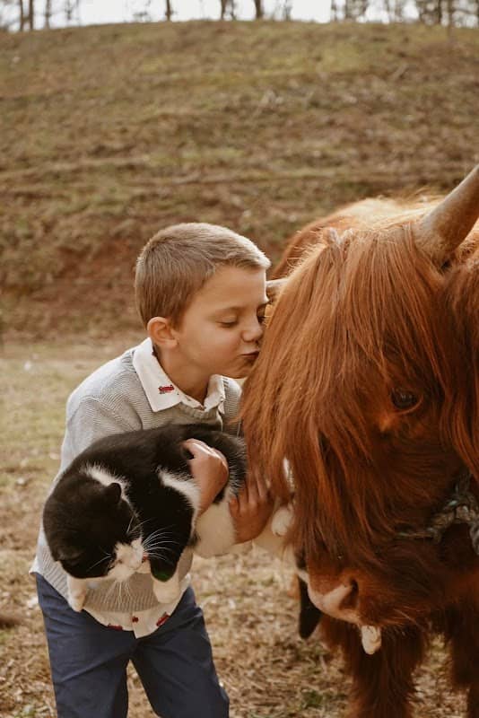 Highland Hills Farm LLC - Image 2