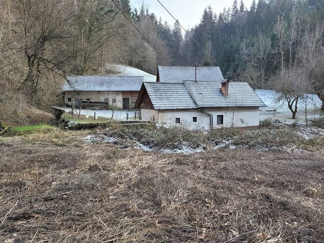 Samotni (Debevčev) mlin - Image 1