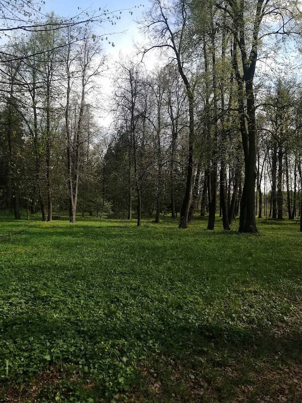 Kurgany Vyatichey - Image 1