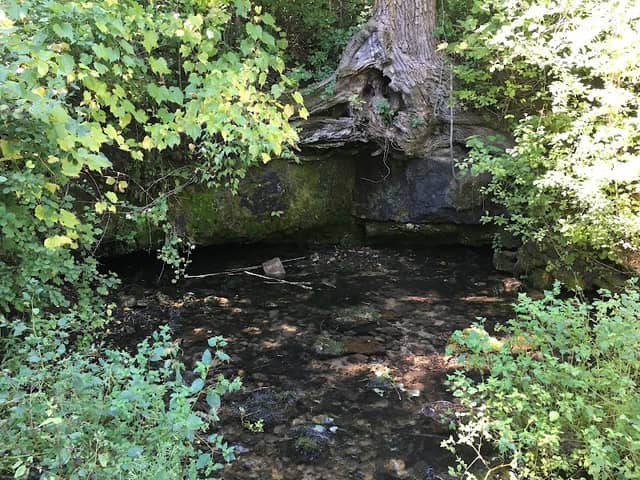 Kelly Creek Preserve - Image 3