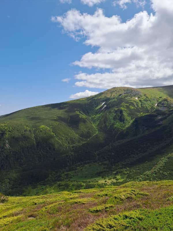Кедроватий Погорілець - Image 1
