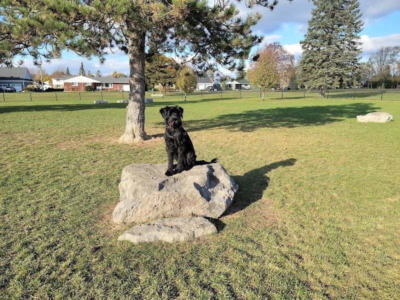 South Dundas Dog Park - Image 1