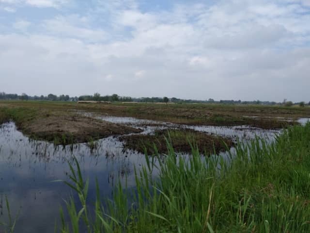 Laarzenpad - Image 1