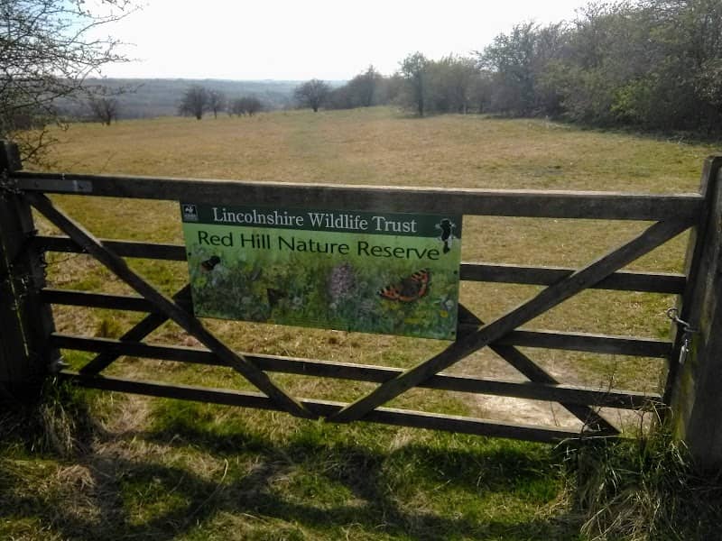 Red Hill Nature Reserve - Image 2