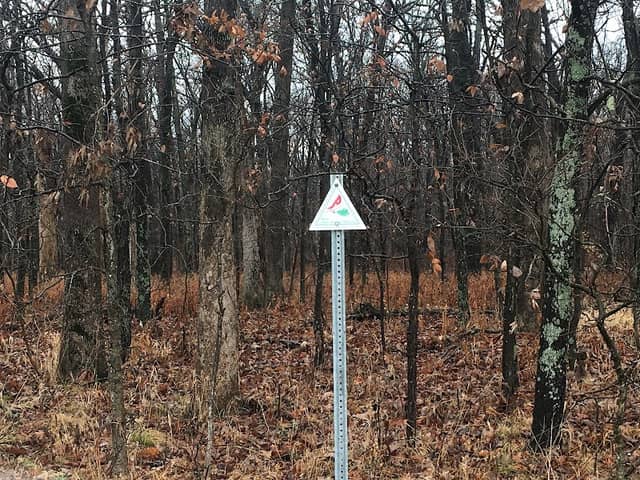 Bohbrink Woods - Image 2