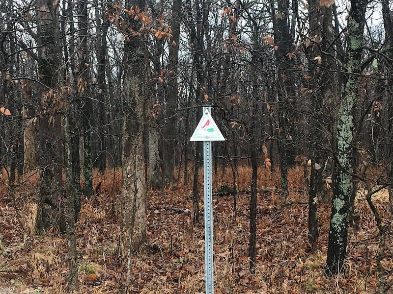 Bohbrink Woods - Image 2