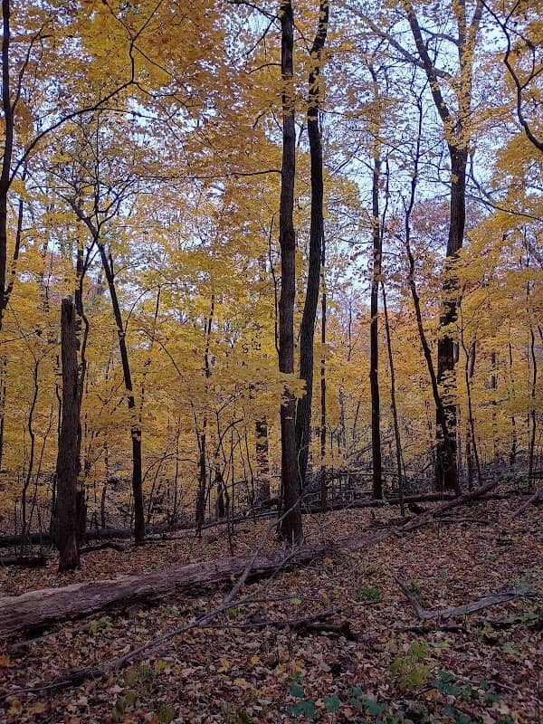 Indian Head Trailhead - Image 1