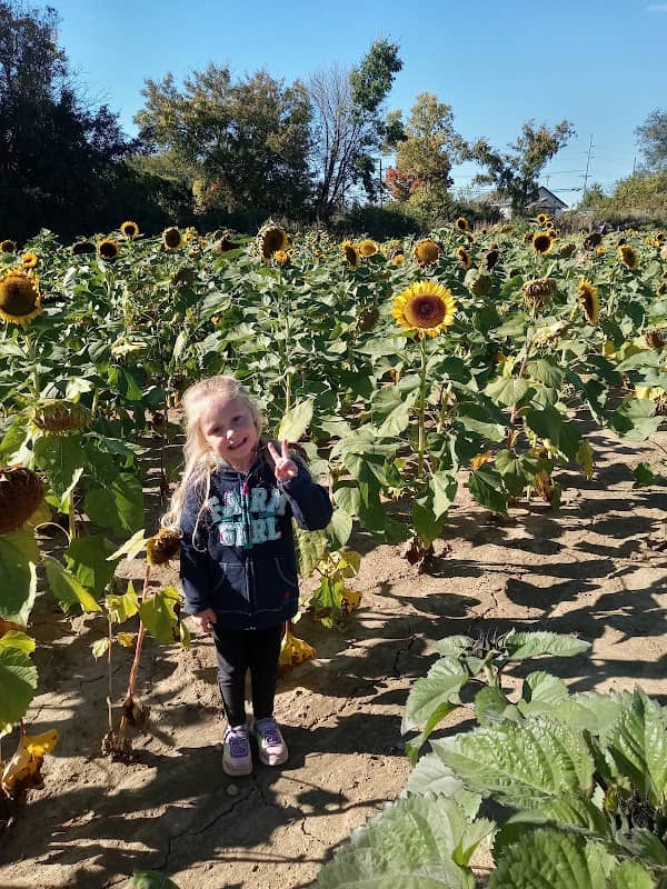 McMonigle Farms Pumpkin Fest - Image 2