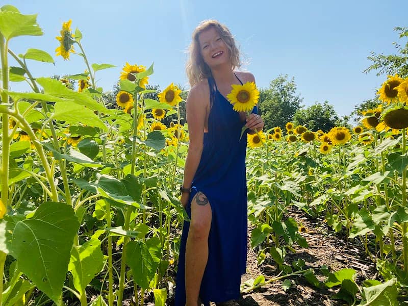Sunflower Fields at Badger Creek - Image 1
