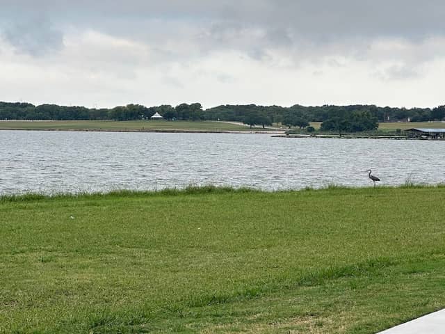 Lake Ray Hubbard Greenbelt - Image 1