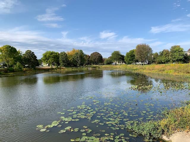 May Watts Park - Image 1