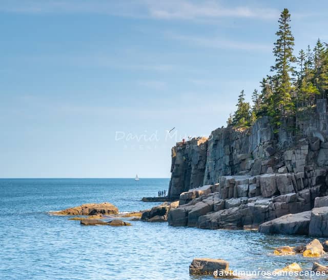 Otter Cliff - Image 1