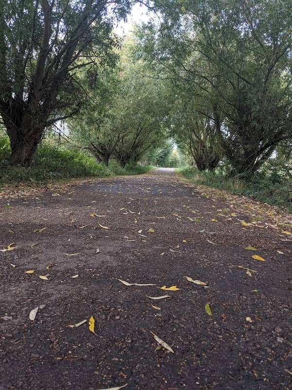 Gunpowder Park Field Station - Image 2