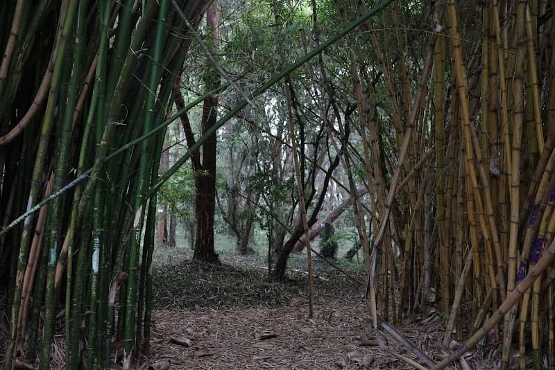 Bamboo lounge - Image 2