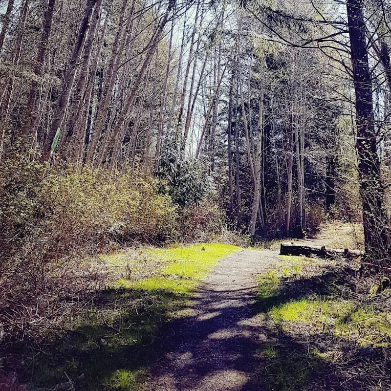 Sandwick Park - Image 2