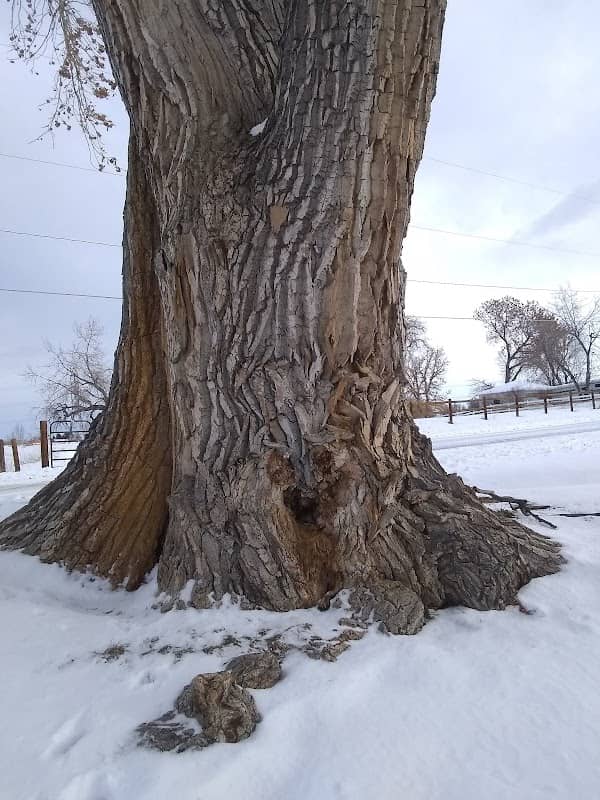 South Sheridan Park - Image 2