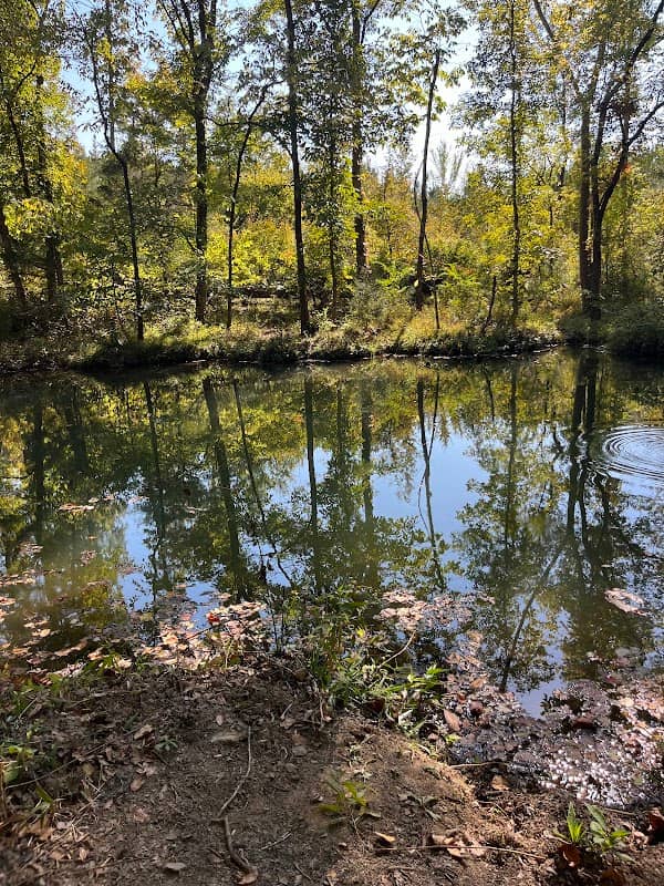 Tannehill State Park - Image 2