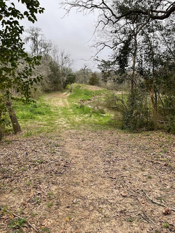 Old Friendswood City Park - Image 2