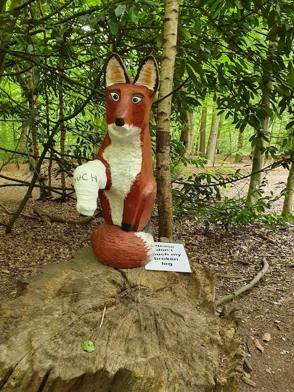 Thorndon Countryside Centre - Image 3