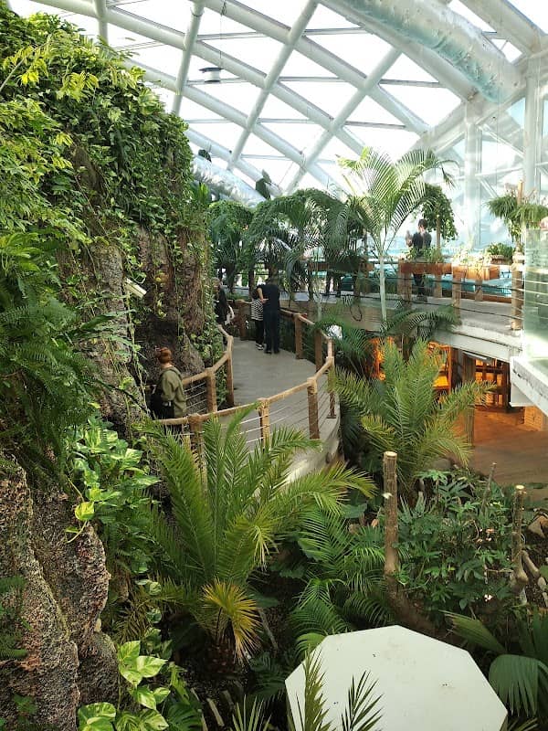 Avrupanın En Büyük Kelebek Evi - Image 3
