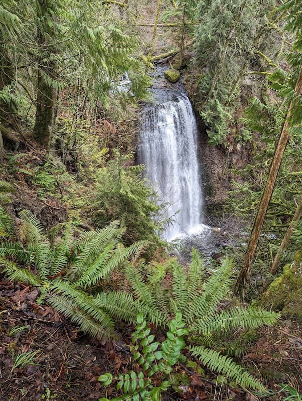 Victor Falls City Park - Image 1