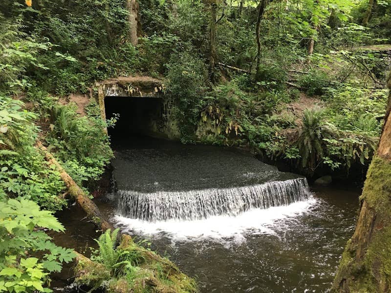 Victor Falls City Park - Image 2