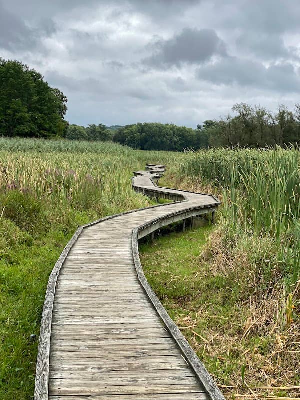 Appalachian Trail Boardwalk - Image 3