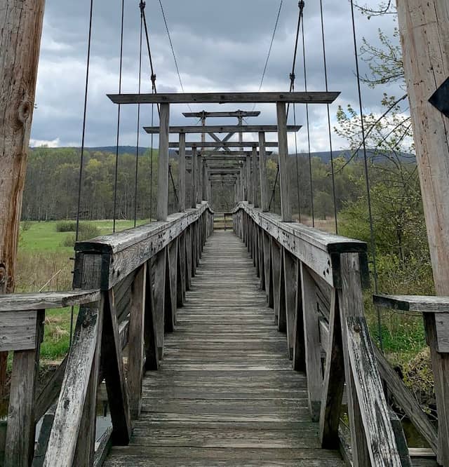Appalachian Trail Boardwalk - Image 2